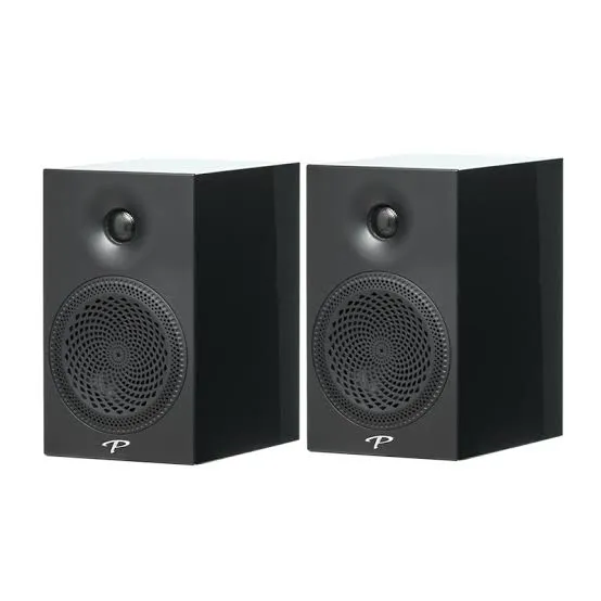 Paradigm Premier 100B