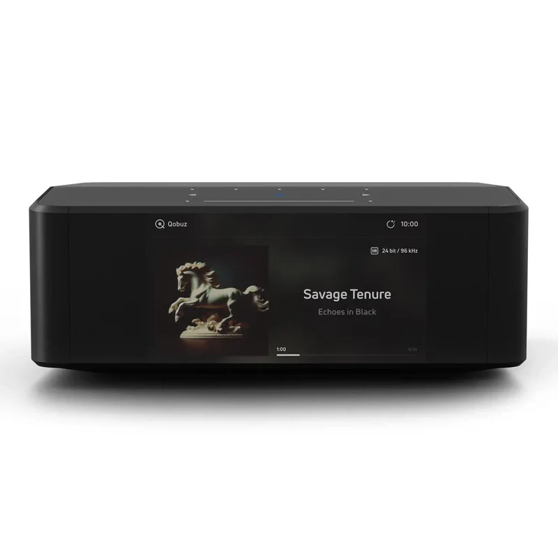 Bluesound Node Icon (N530)