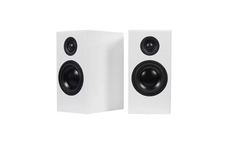 Totem Acoustics Bison Monitor