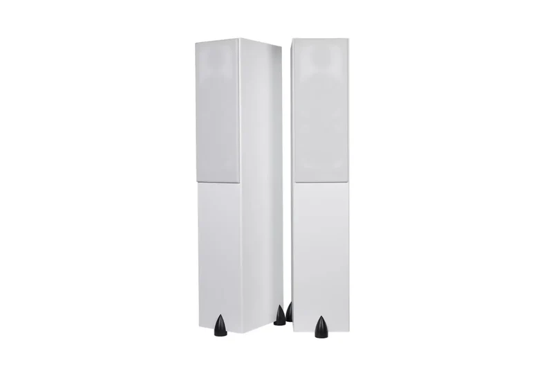 Totem Acoustic Bison Twin Tower