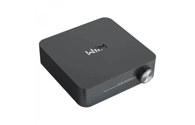 Wiim Amp - Amplificatore, DAC, Streamer di Rete