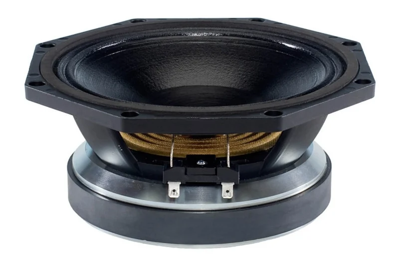8FW51 B&C Mid Woofer PRO 8" 400W