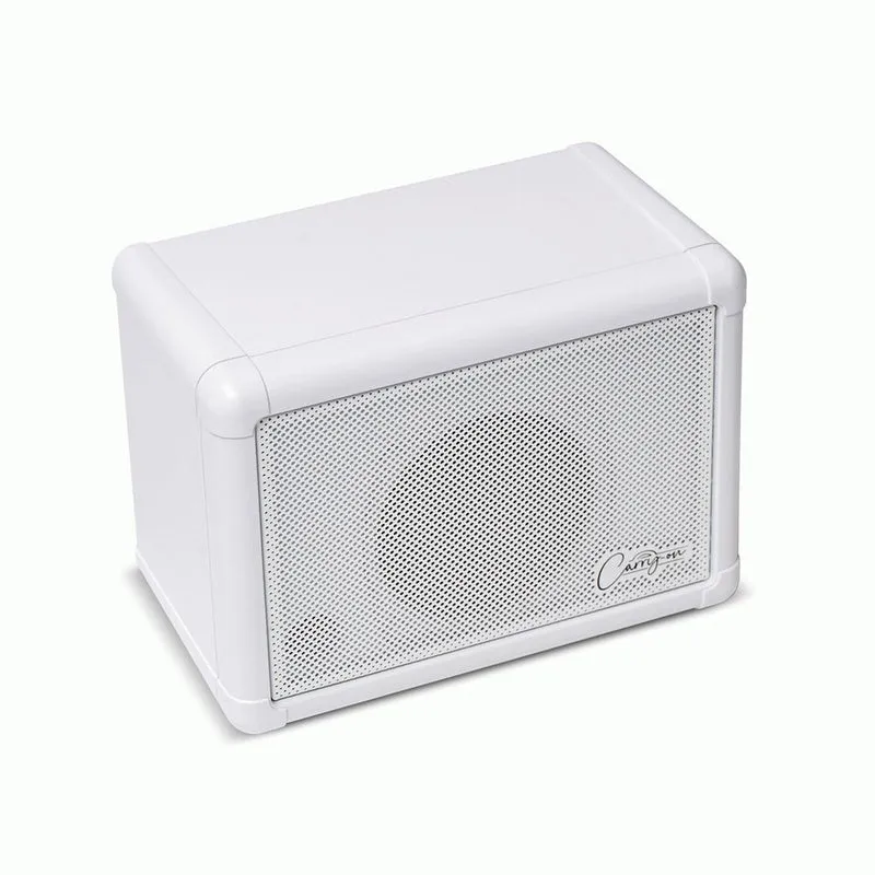 Carry On Mini Extension Speaker Based on Fly-103