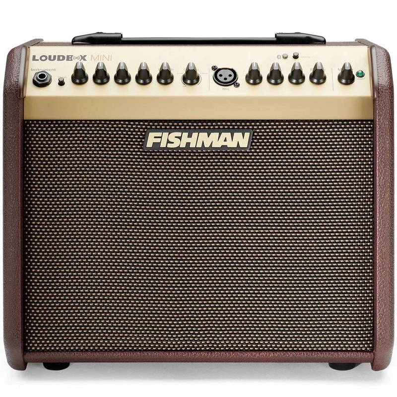 Fishman Loudbox Mini with Bluetooth Acoustic Guitar Amplifier w/ Reverb & Chorus