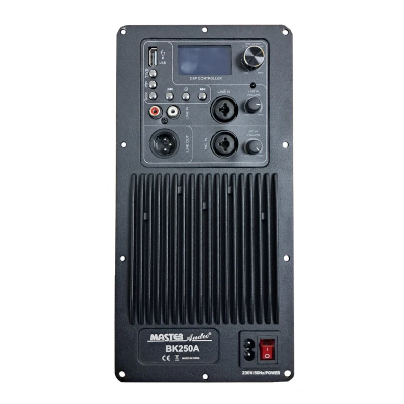 Master Audio SAK250 Modulo amplificatore digitale 2 vie 230W RMS per diffusore