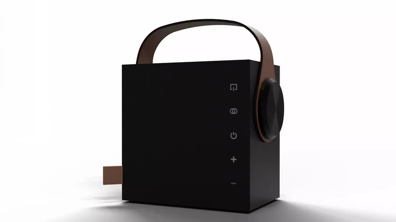 Morel BIGGIE diffusore Hi-fi portatile wireless da 100 mm