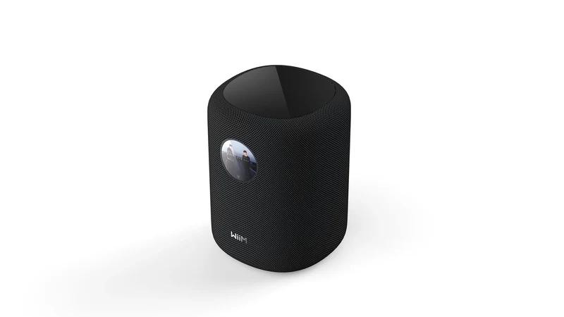 WiiM Sound Diffusore attivo Wi-Fi 6E | Bluetooth 5.3 (SBC, AAC, LD3) | Ethernet | Aux