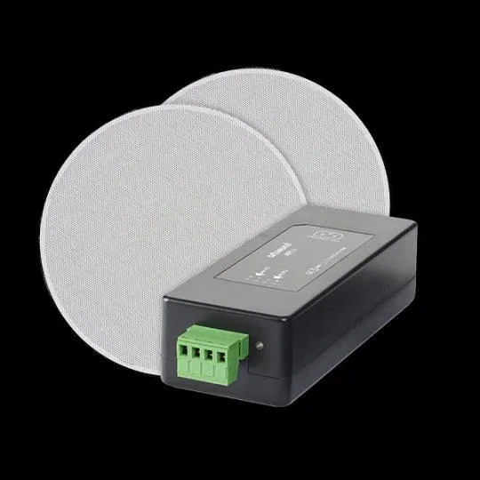 Artsound CRAZY PACK ART1.1 + FL30: amplificatore digitale + coppia casse da controsoffitto, ingresso bluetooth