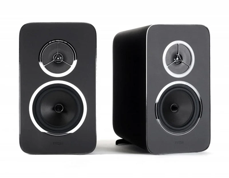 REGA KYTE Diffusori a 2 vie, bass reflex, cabinet in resina fenolica