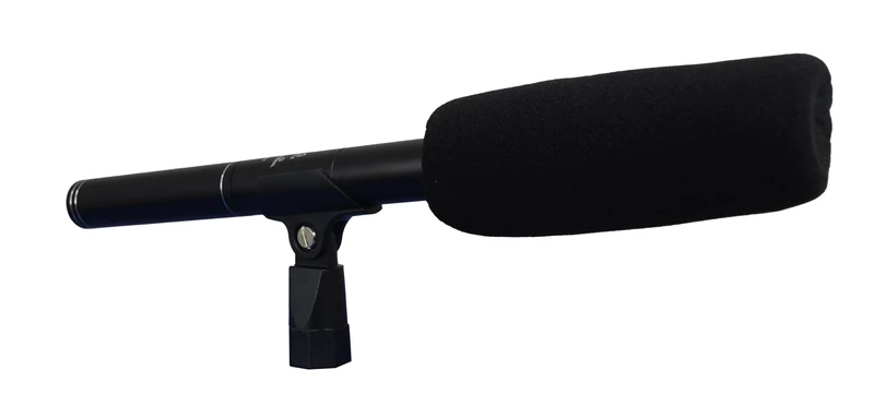 GLEMM DMC 943 Microfono Zoom con doppia capsula