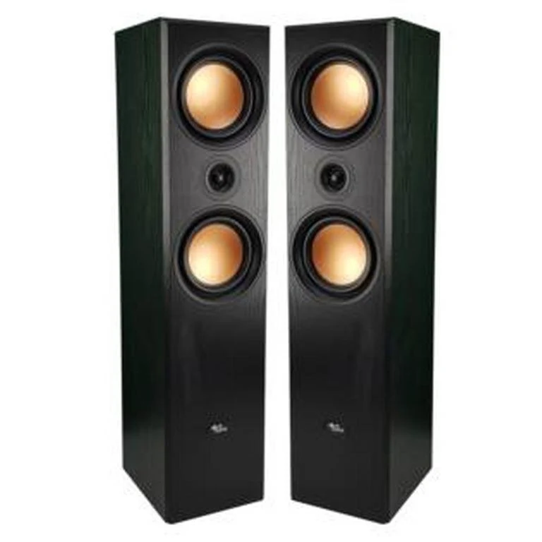 Evidence Acoustics 800PG Coppia Diffusori Da Pavimento HiFi 350W