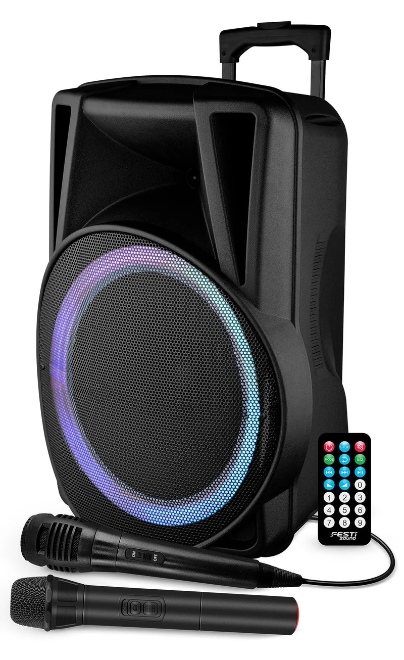 FESTI SOUND FESTI 15 Diffusore amplificato 700W