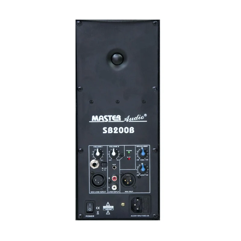 Master Audio SPB20 Modulo BI-AMPLIFICATO 130W RMS universale