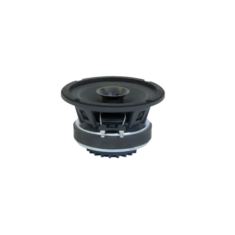 Master Audio CSX06 subwoofer + driver neodimio integrato 6" (16,5 cm) con tromba integrata