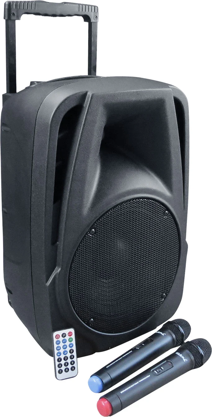 KARMA BM 882 Diffusore amplificato 10" da 100W con 2 radiomicrofoni
