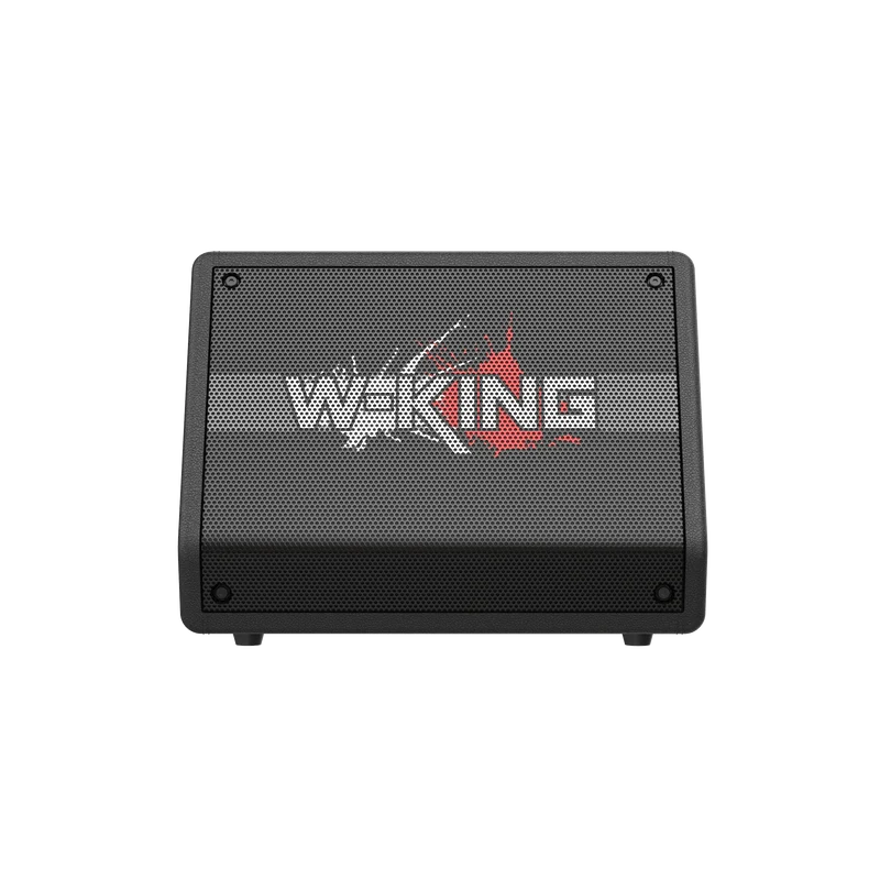 W-KING K40 220W RMS Karaoke Bluetooth Speaker